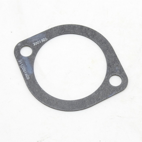 China genuine 3001305 Connection Gasket KTTA19 genset part