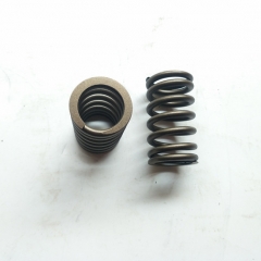 chongqing parts stc nta855 engine Valve Spring 3081212 3035996