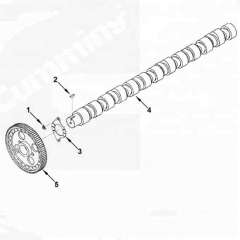 CCEC camshaft 3066877 KTA19 engine parts