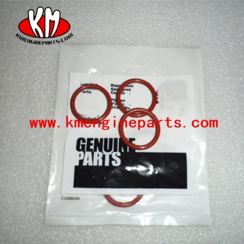 CCEC 216187 seal o ring KTA19 KTA38 k50 Engine spare parts