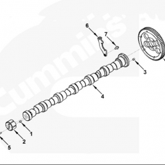 DCEC 3954100 camshaft 4BT 6BT engine parts