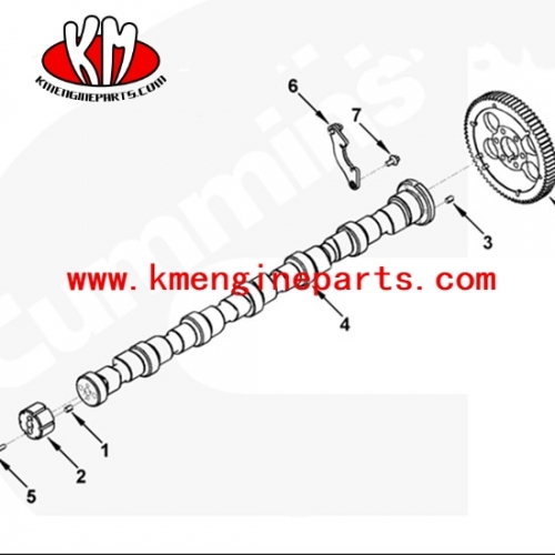 DCEC 3954100 camshaft 4BT 6BT engine parts