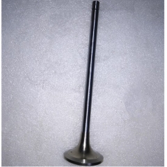 Chongqing NTA855 N14 Engine Exhaust Valve 3800891 3166410