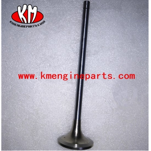 Chongqing NTA855 N14 Engine Exhaust Valve 3800891 3166410