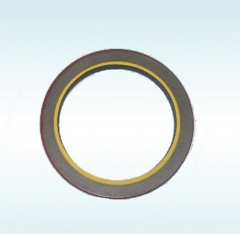 Ccec kta38 engine spare parts 3016787 3016792 oil seal