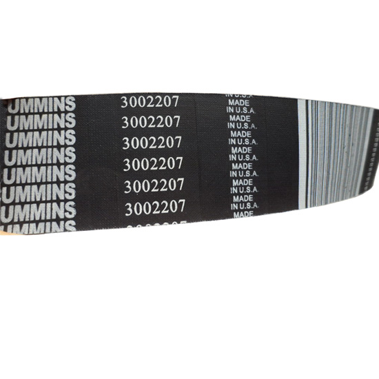 3002207 v ribbed belt