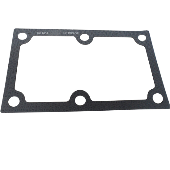 3011651 gasket cover plate 