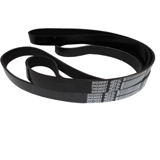 3103697 V ribbed belt