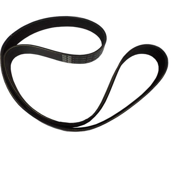 3911588 belt v ribbed