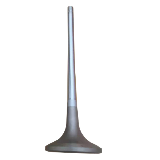 3090469 exhaust valve 