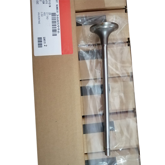 4965868 3685996  intake valve