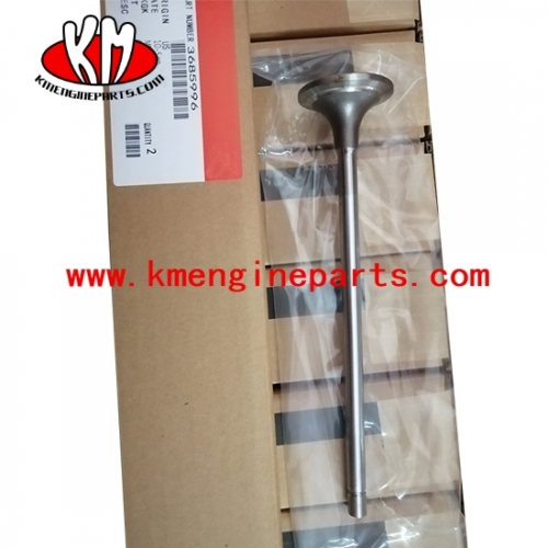 4965868 3685996 intake valve ISX15 QSX15 CM570 engine parts