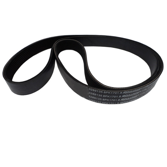 3289135 v ribbed belt