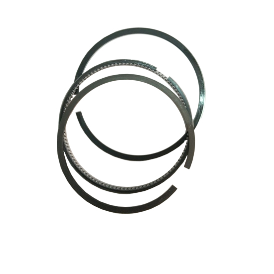 C6205312200 piston ring set