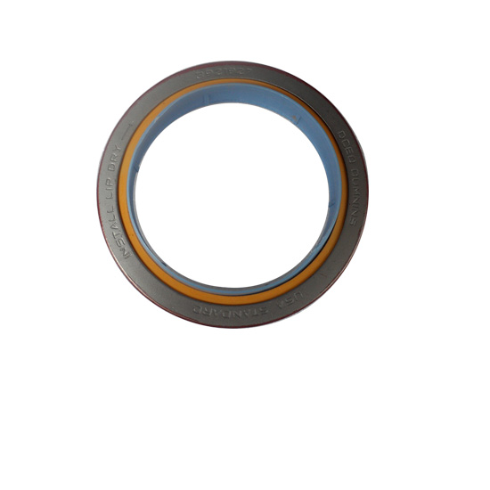 3921927 oil seal