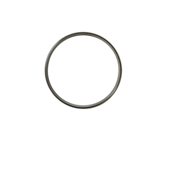 3689871  Anti-Polishing Ring 