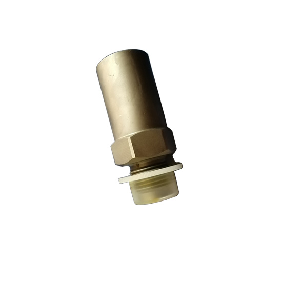 4307376 rail pressure relief valve 