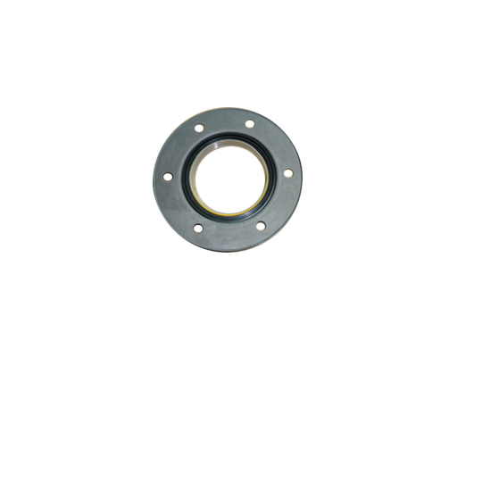 3329698 oil seal 