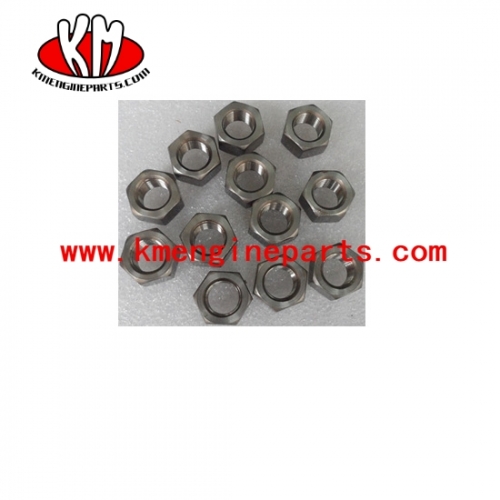 Ccec s212 nta855 kta19 engine regular hexagon nut