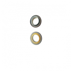 Ccec 3038998 nta855 engine oil seal