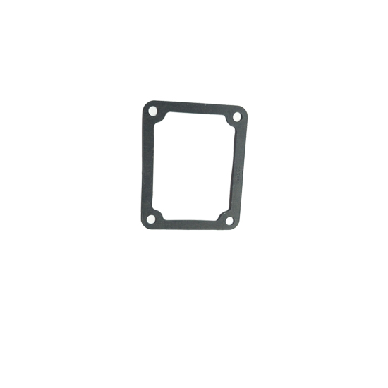 195950 gasket 