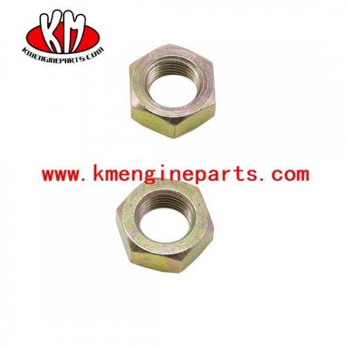 Ccec S213A S123 A nta855 engine nut regular hexagon jam