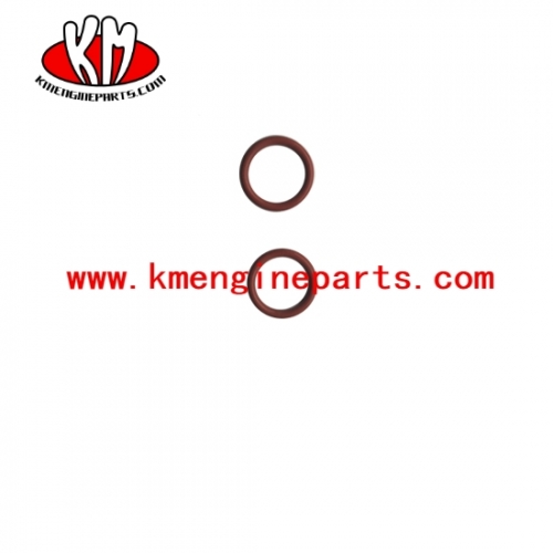 Ccec 3000273 nta855 engine o ring seal