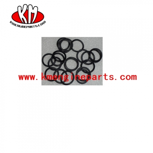 Ccec 3052587 nta855 engine o ring seal