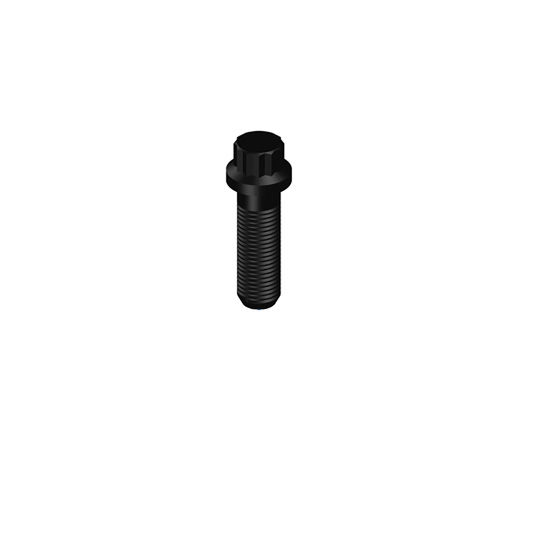 153581 twelve point cap screw