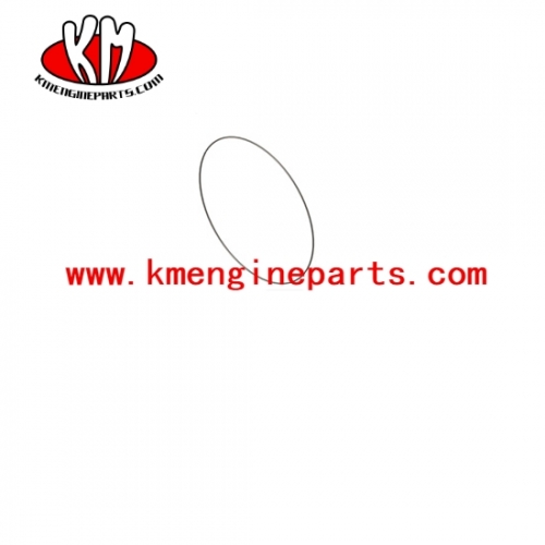 Dcec 4063195 4bt 6bt engine o ring seal