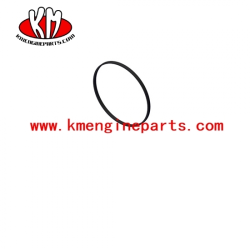 Dcec 3912473 6bt engine rectangular ring seal