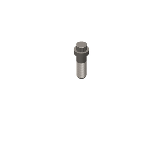 205275 screw twelve point cap