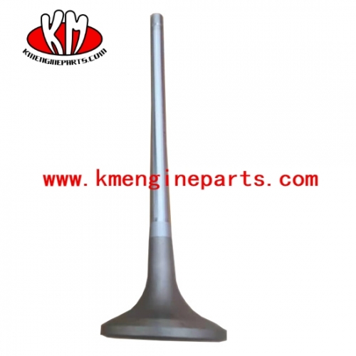 Usa 4065481 qsk60 engine exhaust valve