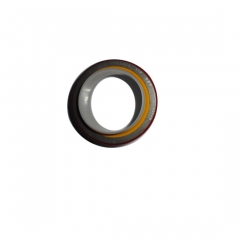 chongqing engine parts3016791 oil seal USA KTA19 engine parts