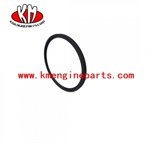 QSK60 dust seal 4918075 engine parts