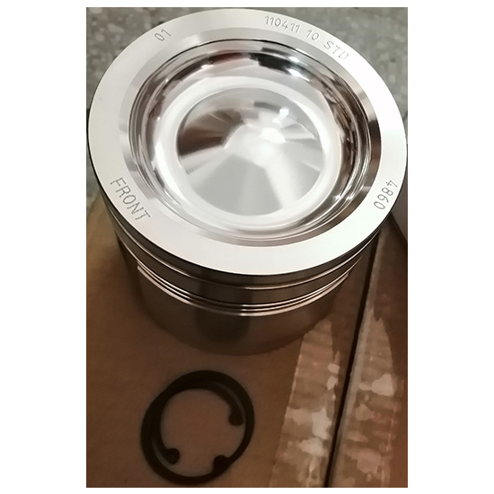 4955160 4376353 Piston kit