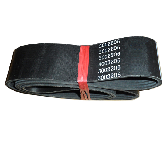 3002206 Ribbed v belts