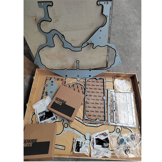 4956003 lower gasket set