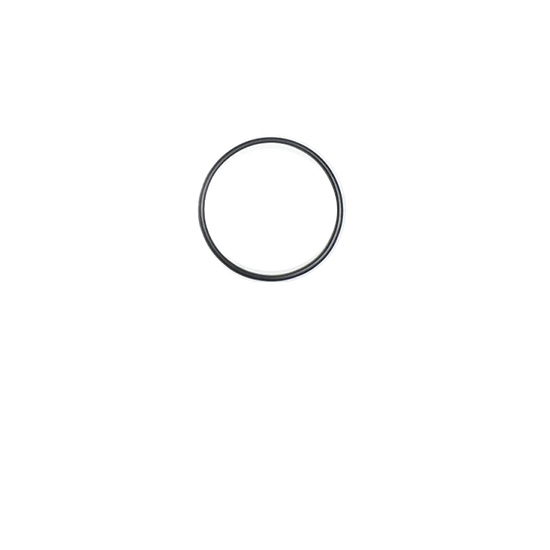 145586 seal o ring