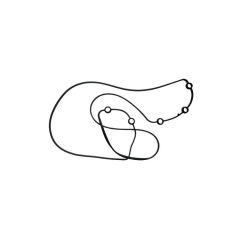 KTA50 Aftercooler Core Seal 3627382 engine parts for Marine